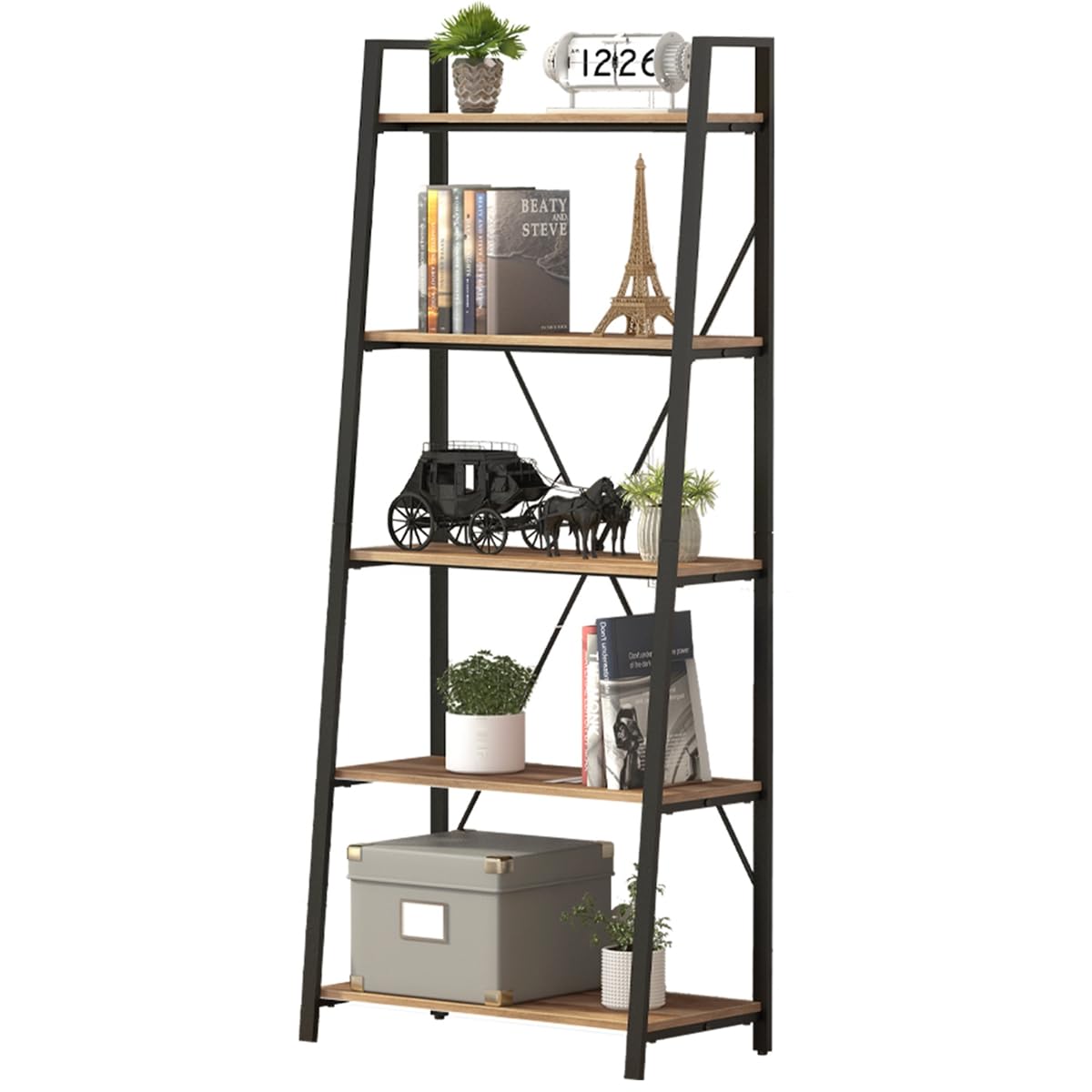 5 Tier Wood and Metal Ladder Bookshelf U699617