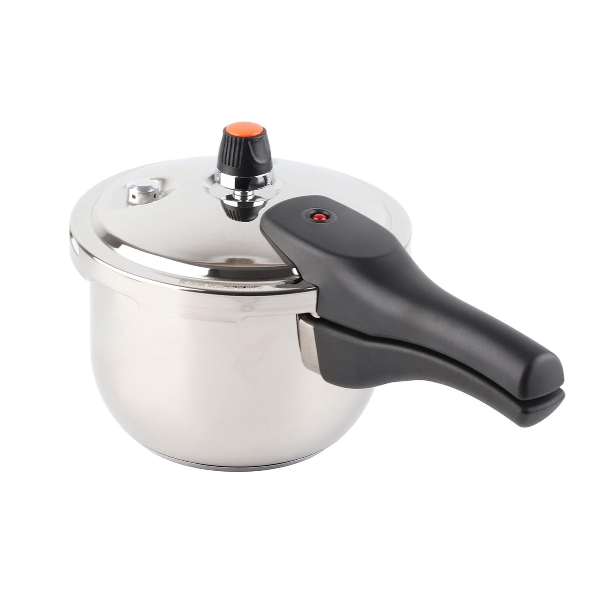 Stainless Steel 3L Pressure Cooker B251859