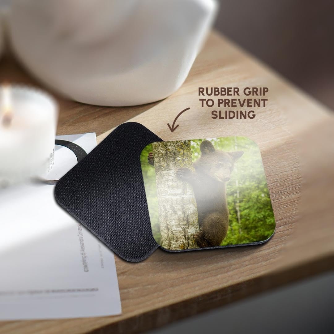 Set of 4 Coasters V485493