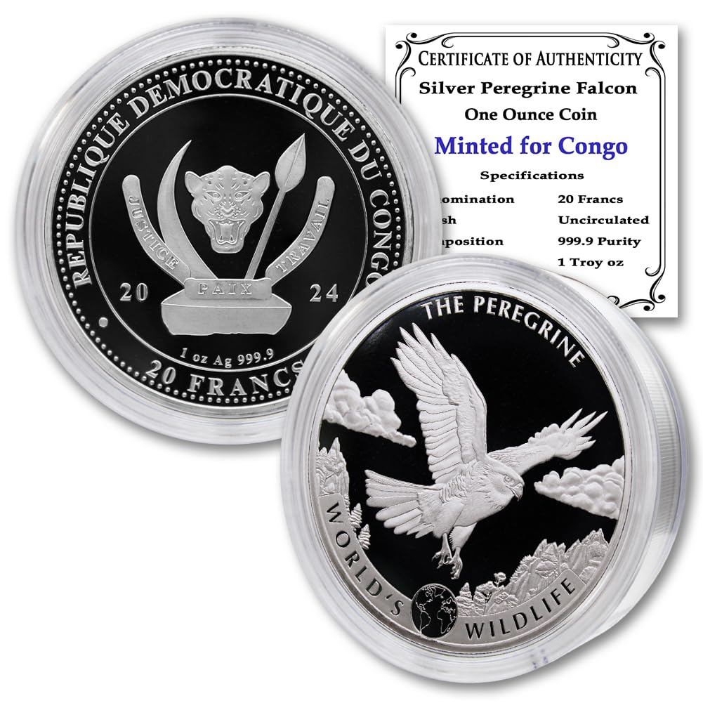 1 oz Silver Coin M408649