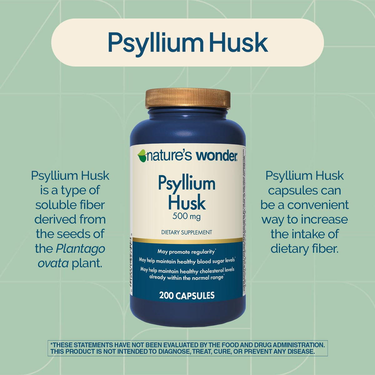 Psyllium Husk 500 mg Capsules 200 Count T44463