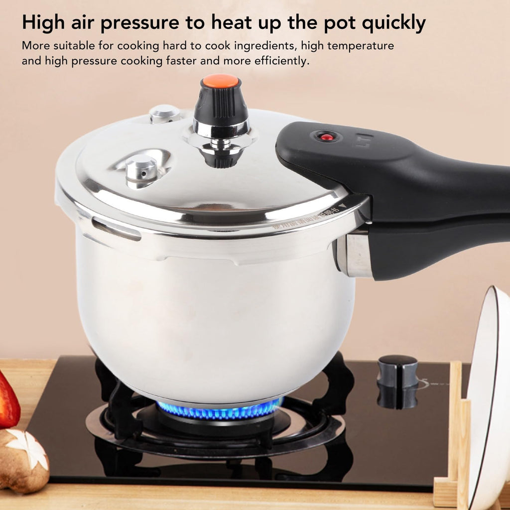 Stainless Steel 3L Pressure Cooker B251859