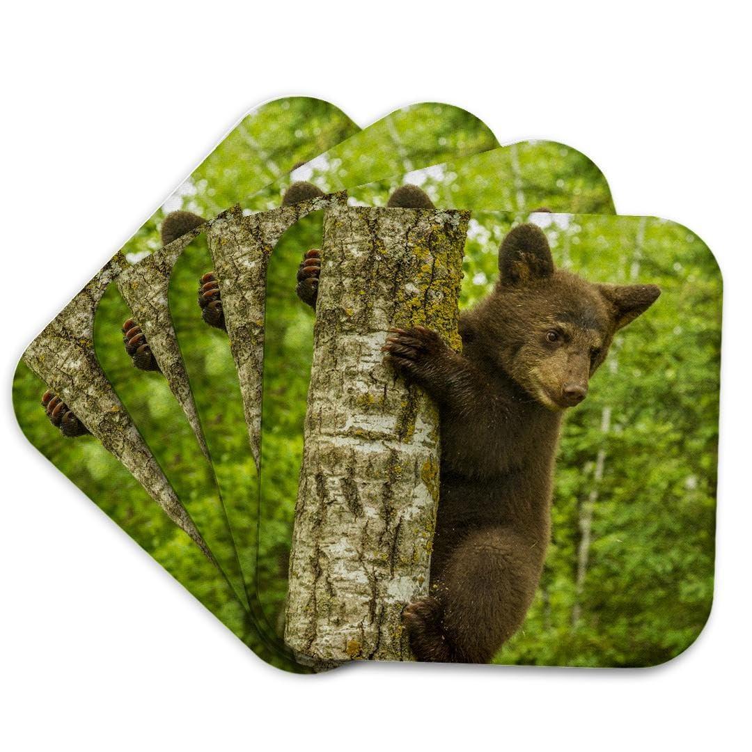 Set of 4 Coasters V485493