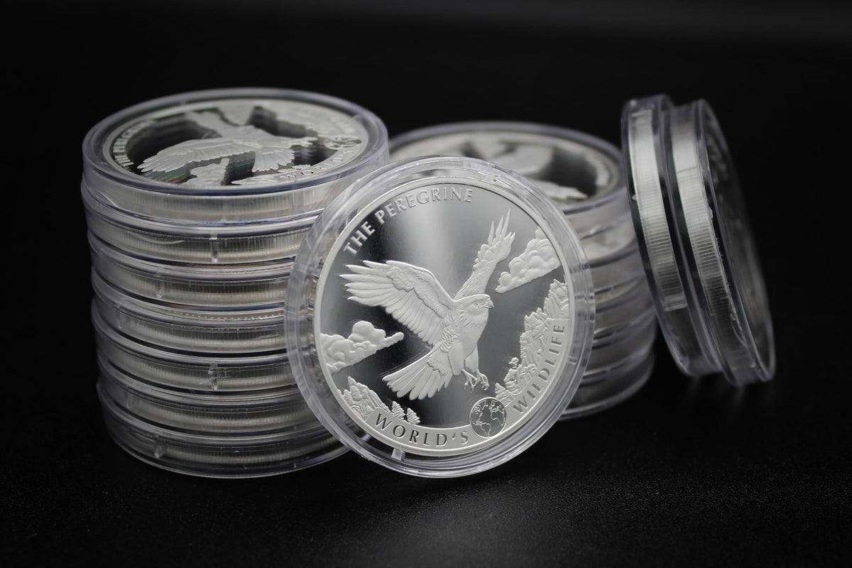 1 oz Silver Coin M408649