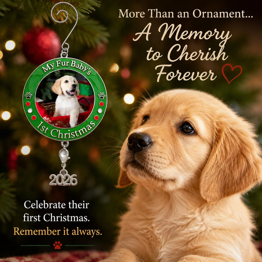 Dog Christmas Photo Ornament 3-Pack 3 Inch Z594860