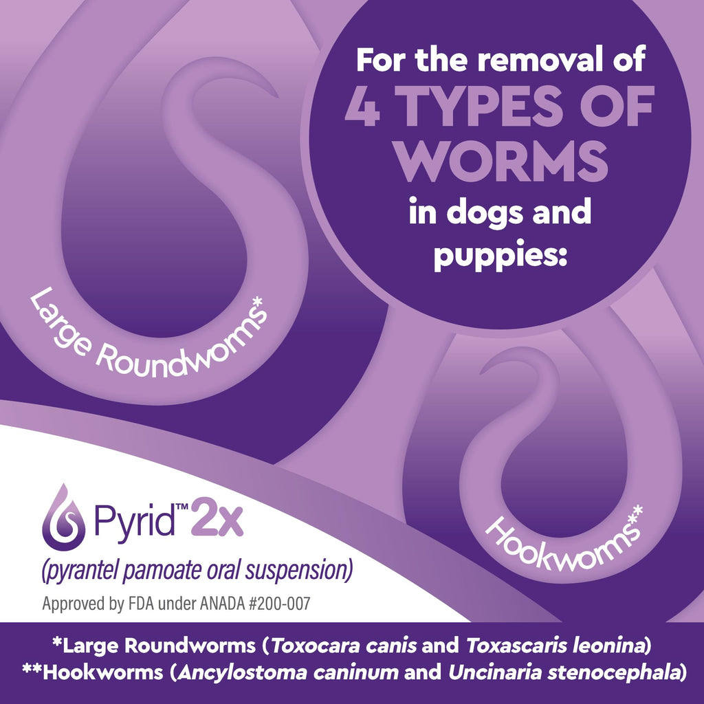 Pyrantel Pamoate Dog Dewormer 16 oz S6831