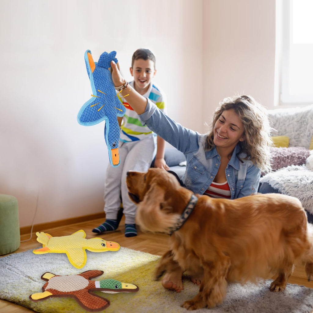 3-Pack No-Stuffing Squeaky Crinkle Dog Chew Toy M1528