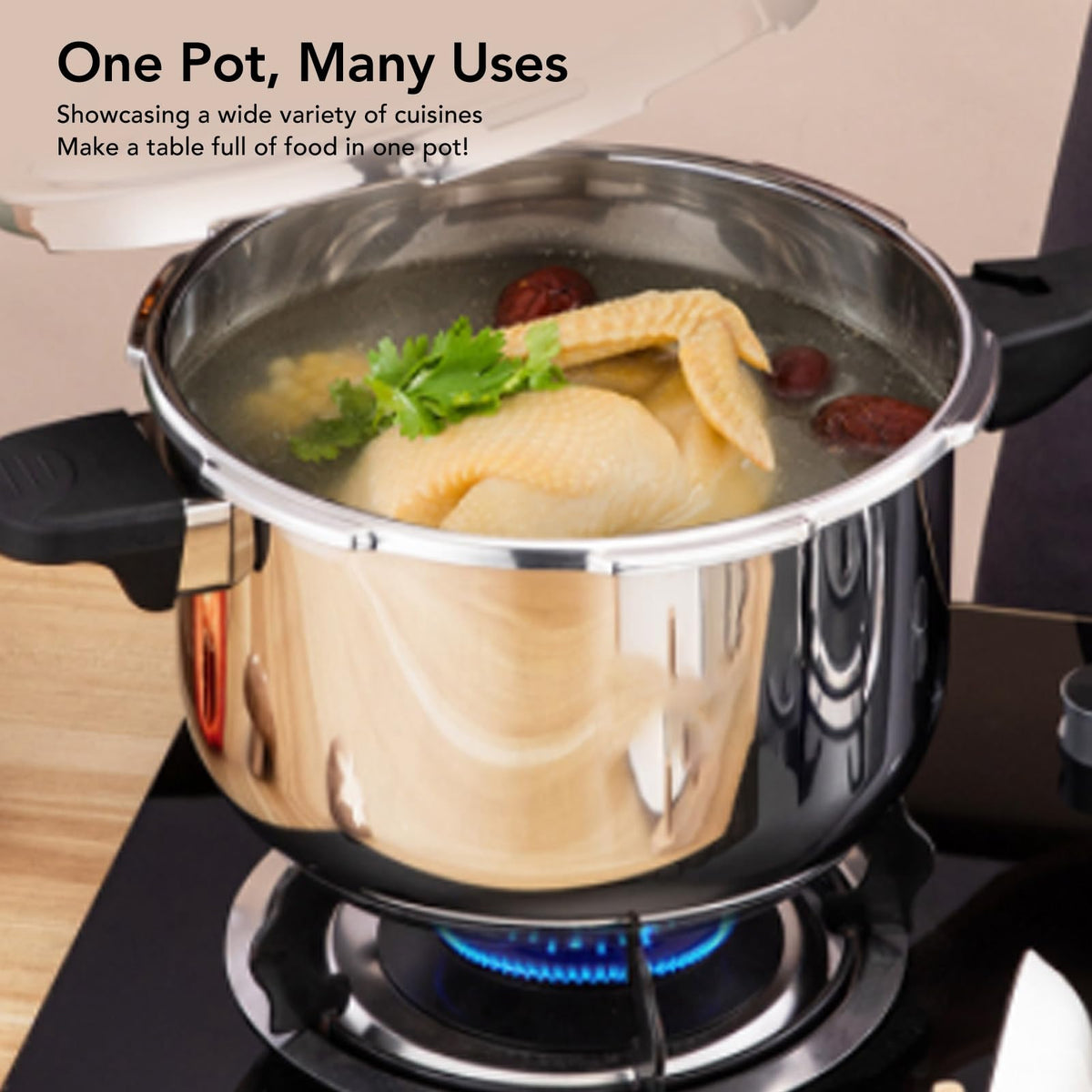Stainless Steel 3L Pressure Cooker B251859