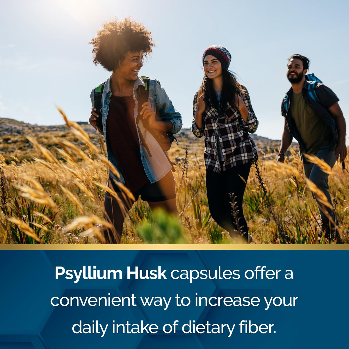 Psyllium Husk 500 mg Capsules 200 Count T44463