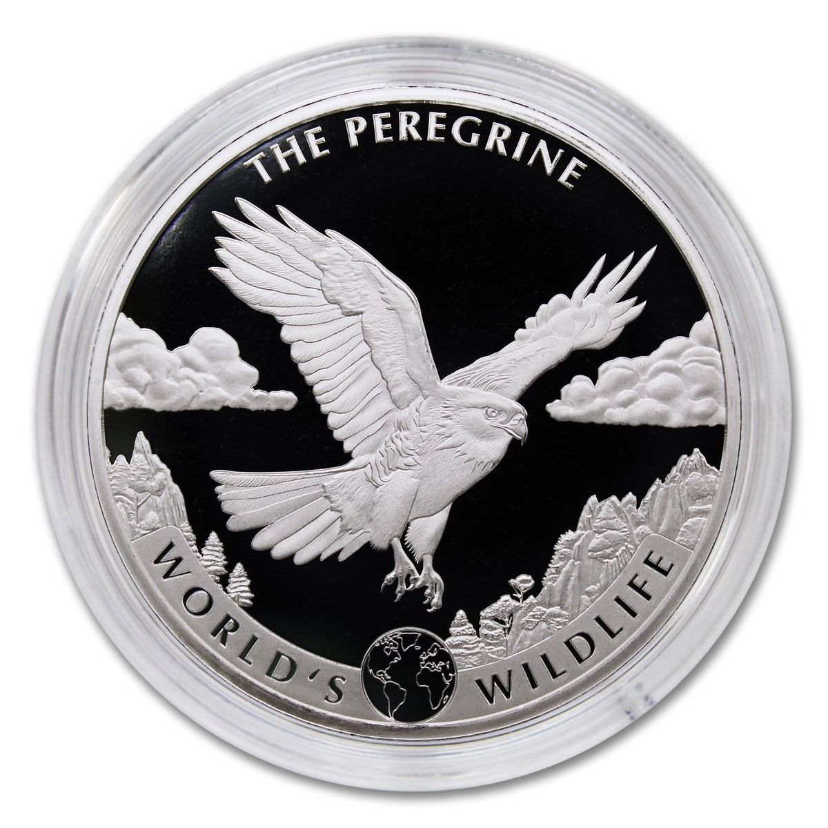 1 oz Silver Coin M408649
