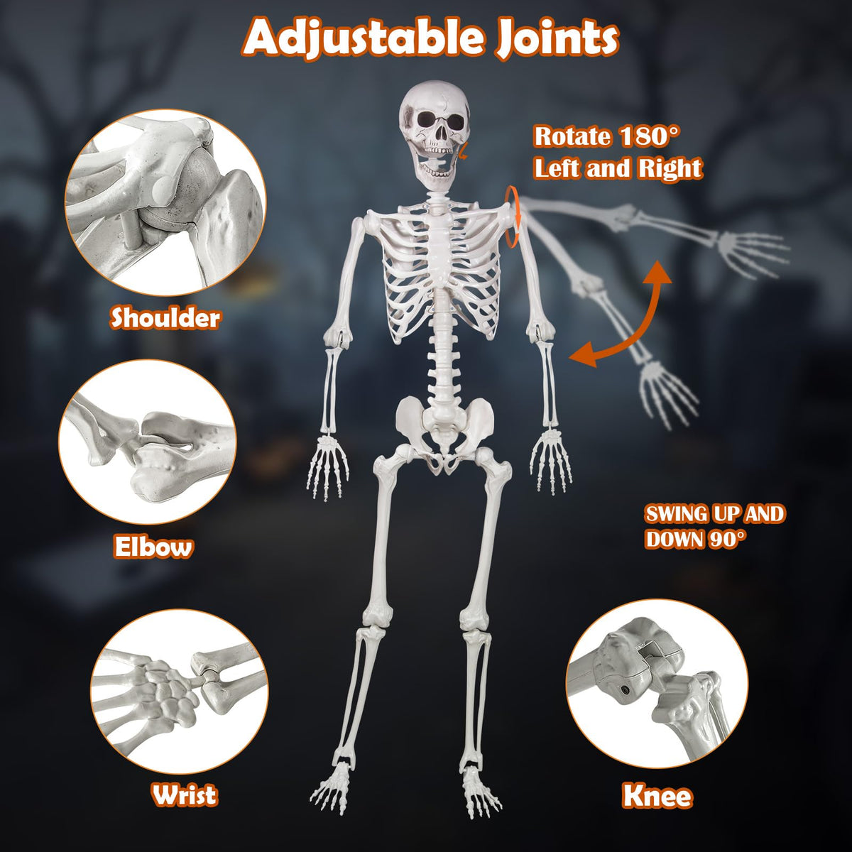Life Size Skeleton with Movable Joints M702790