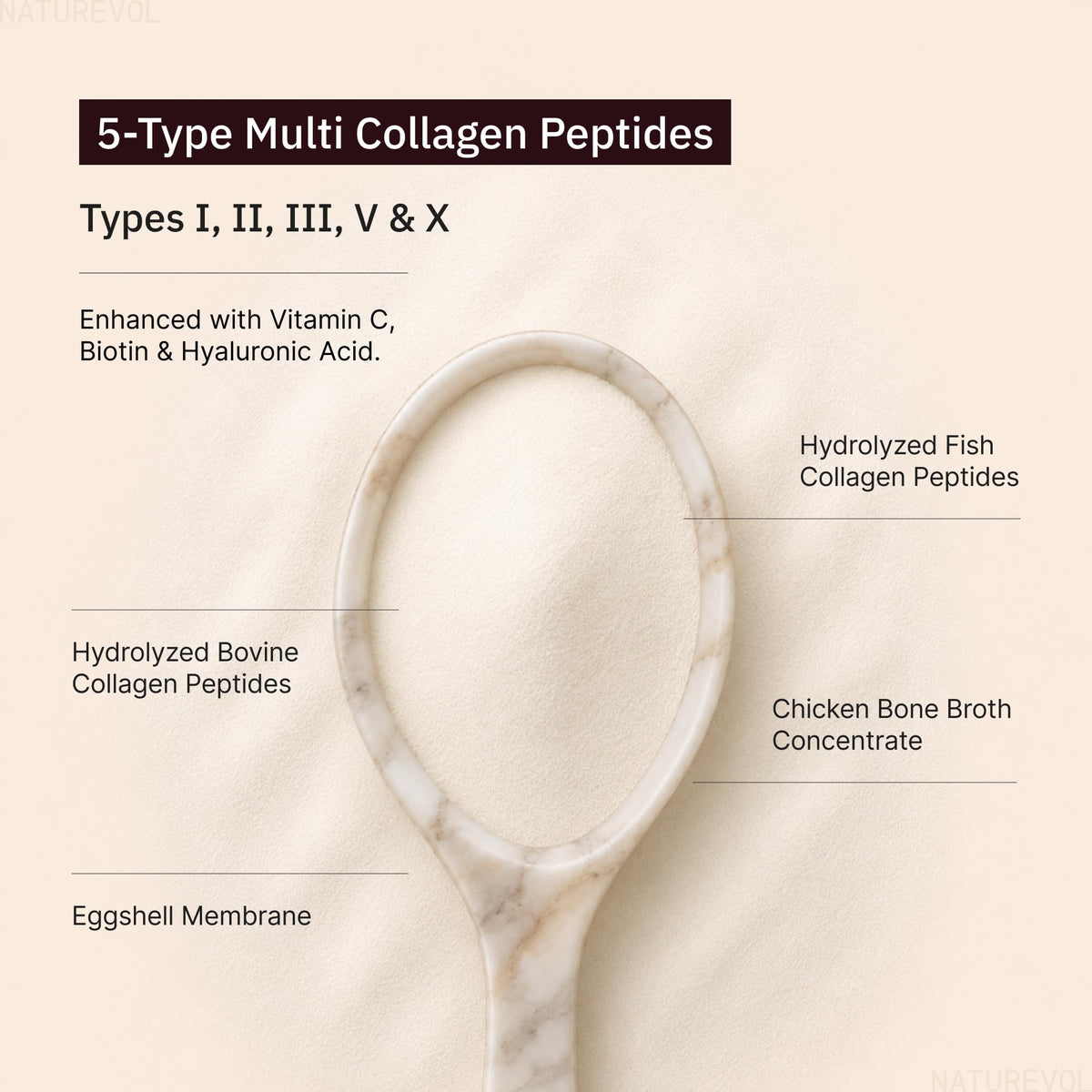 Multi Collagen Peptides Powder 1 lb Unflavored E67640