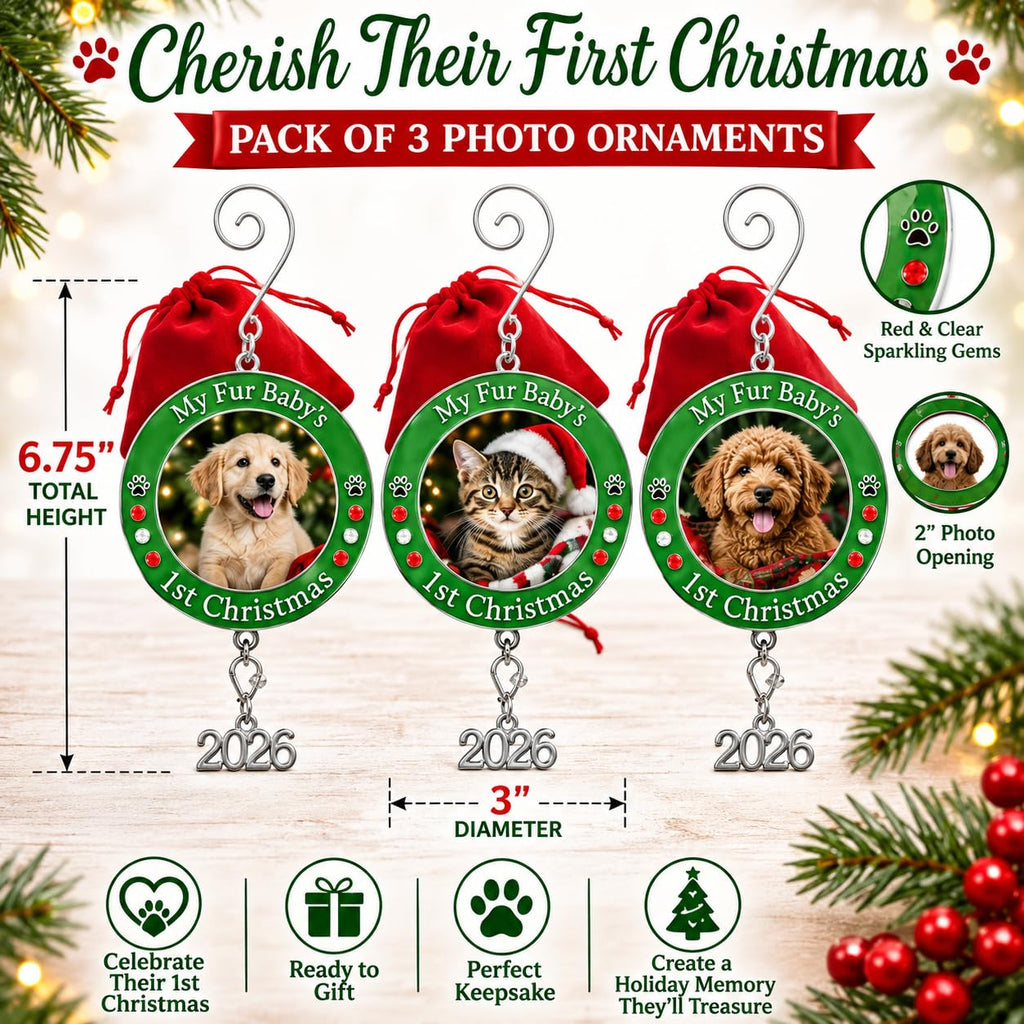 Dog Christmas Photo Ornament 3-Pack 3 Inch Z594860