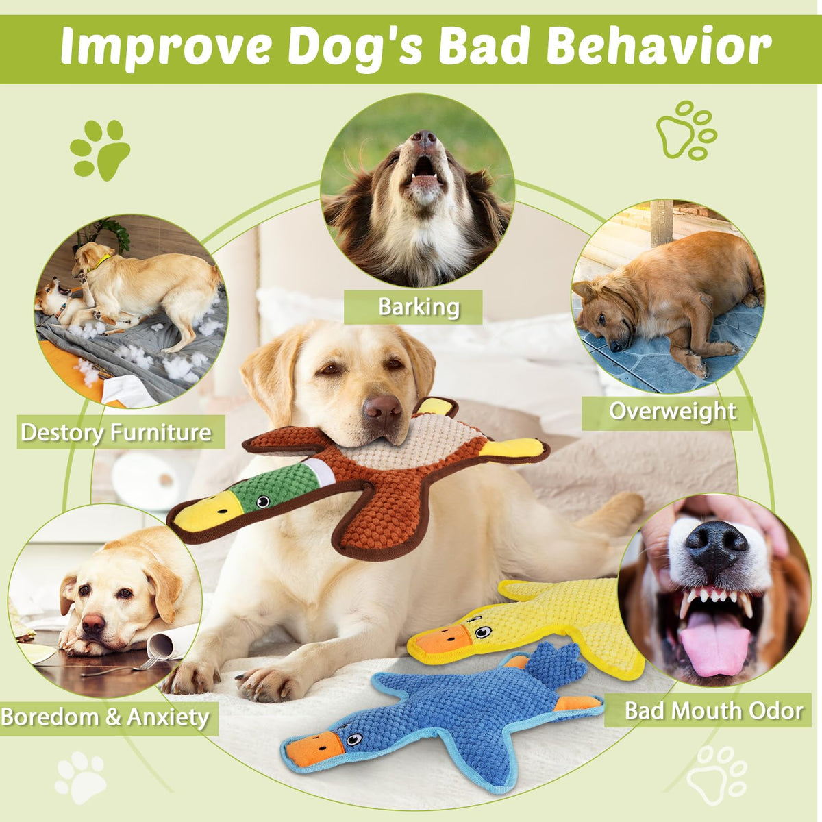3-Pack No-Stuffing Squeaky Crinkle Dog Chew Toy M1528