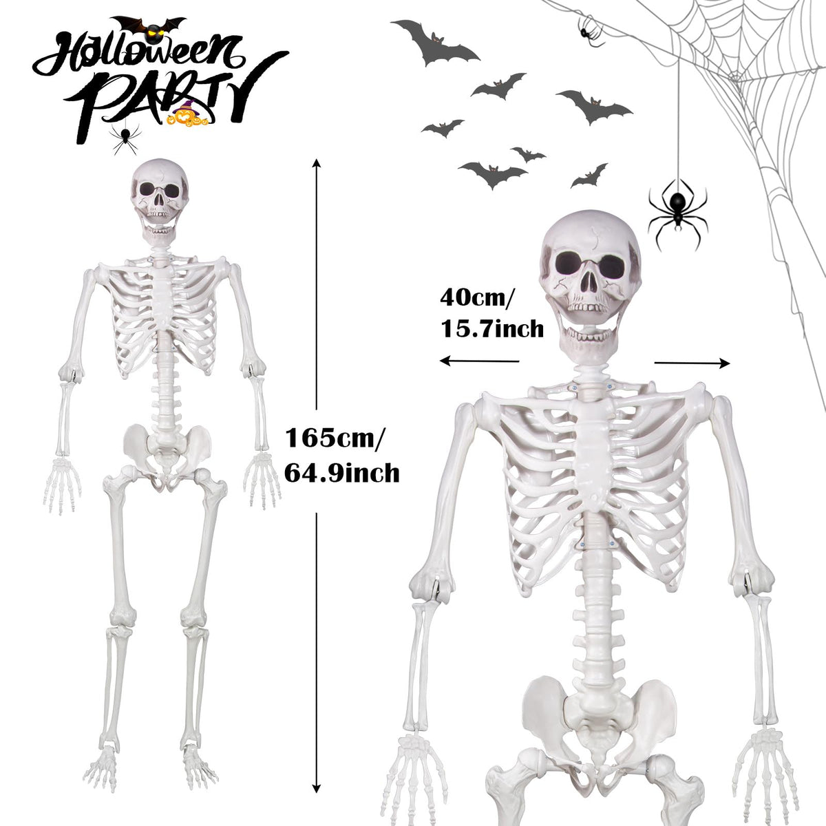 Life Size Skeleton with Movable Joints M702790