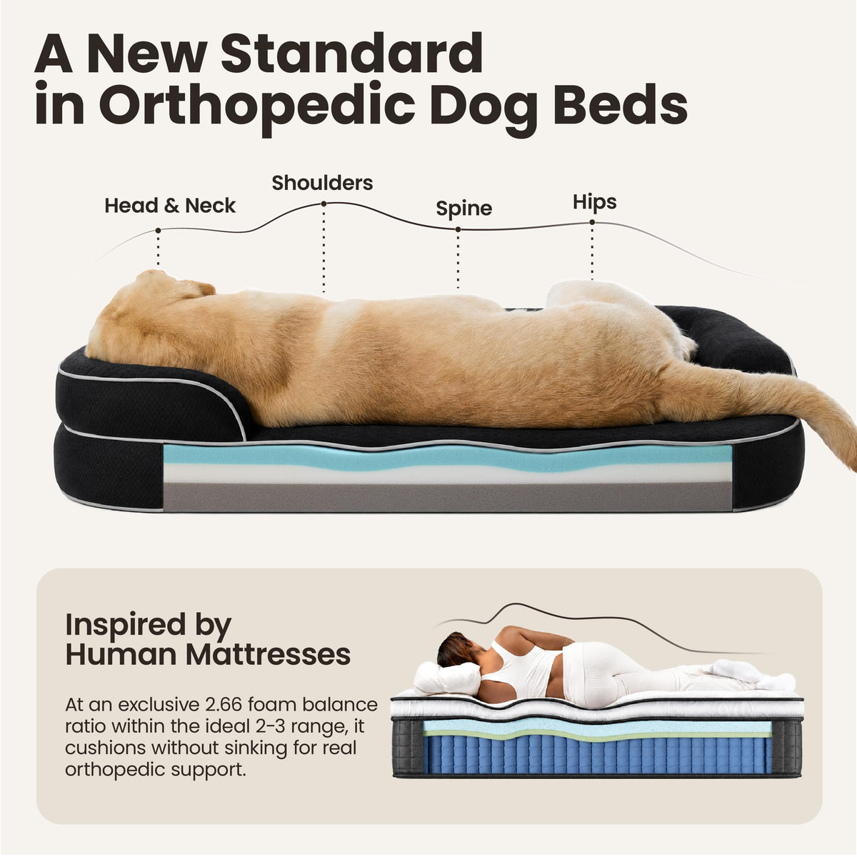 Black 42" Orthopedic Dog Beds M6587