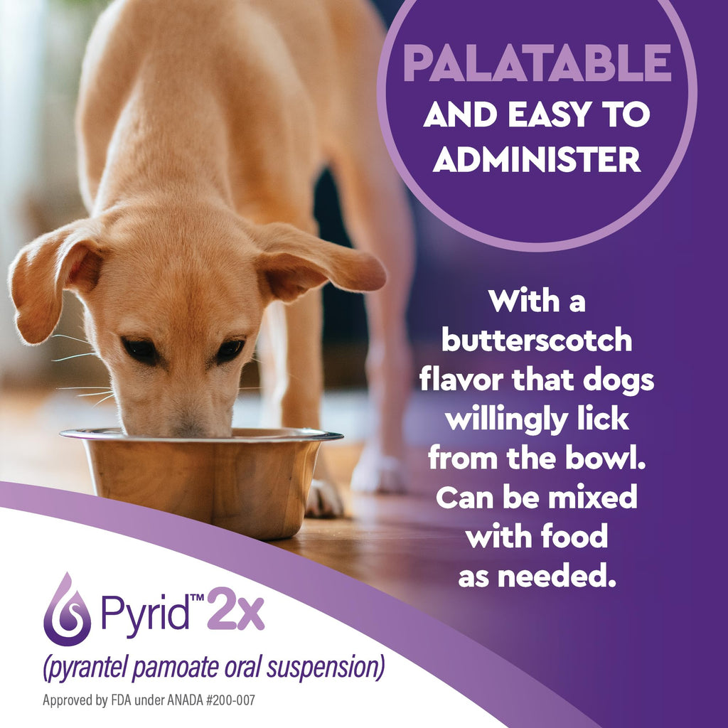 Pyrantel Pamoate Dog Dewormer 16 oz S6831