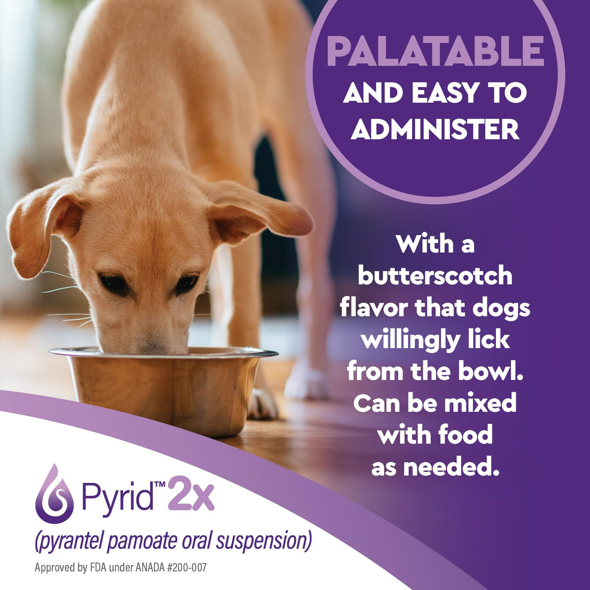 Pyrantel Pamoate Dog Dewormer 16 oz S6831