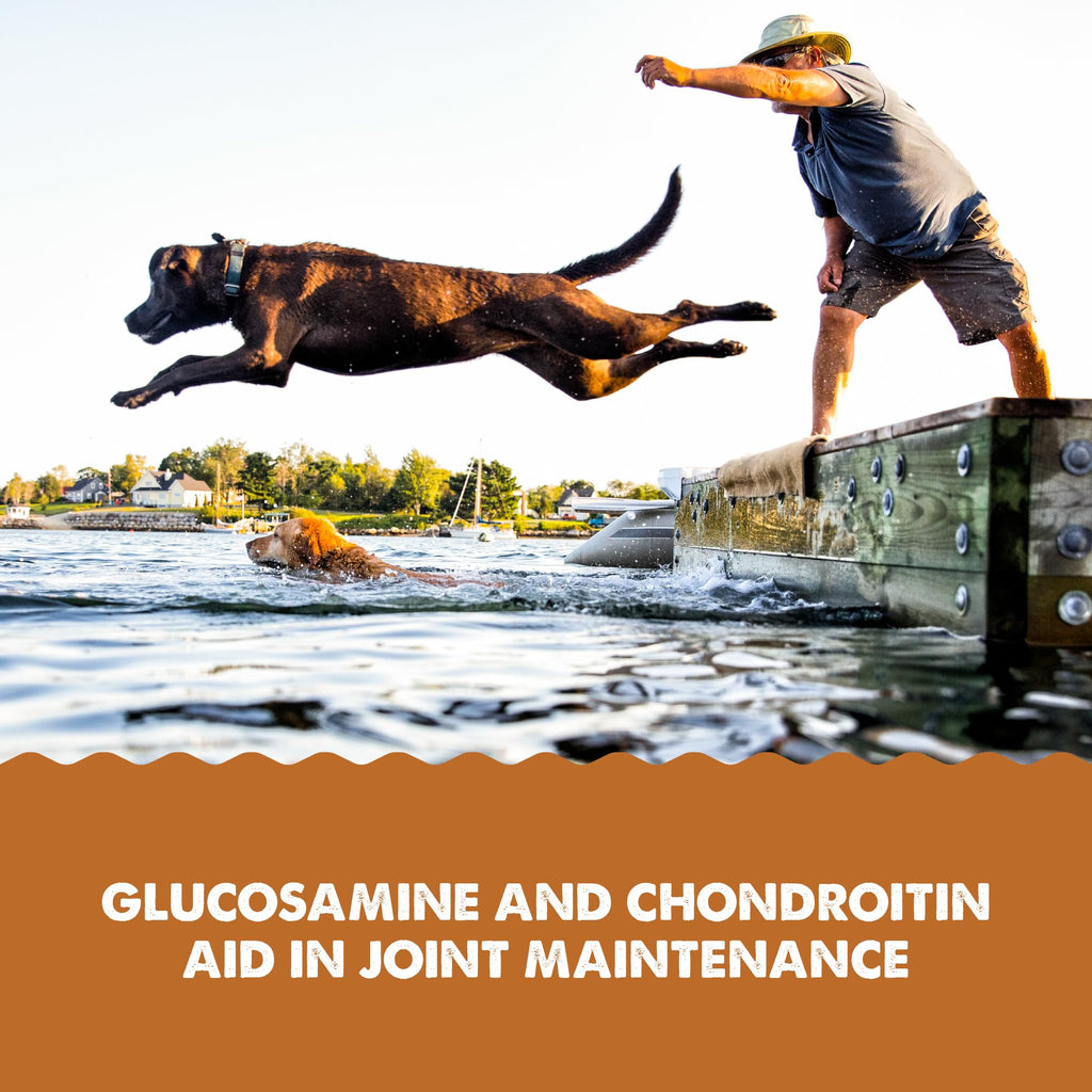 Joint Health Supplement for Dogs and Cats, 32 Ounce V964