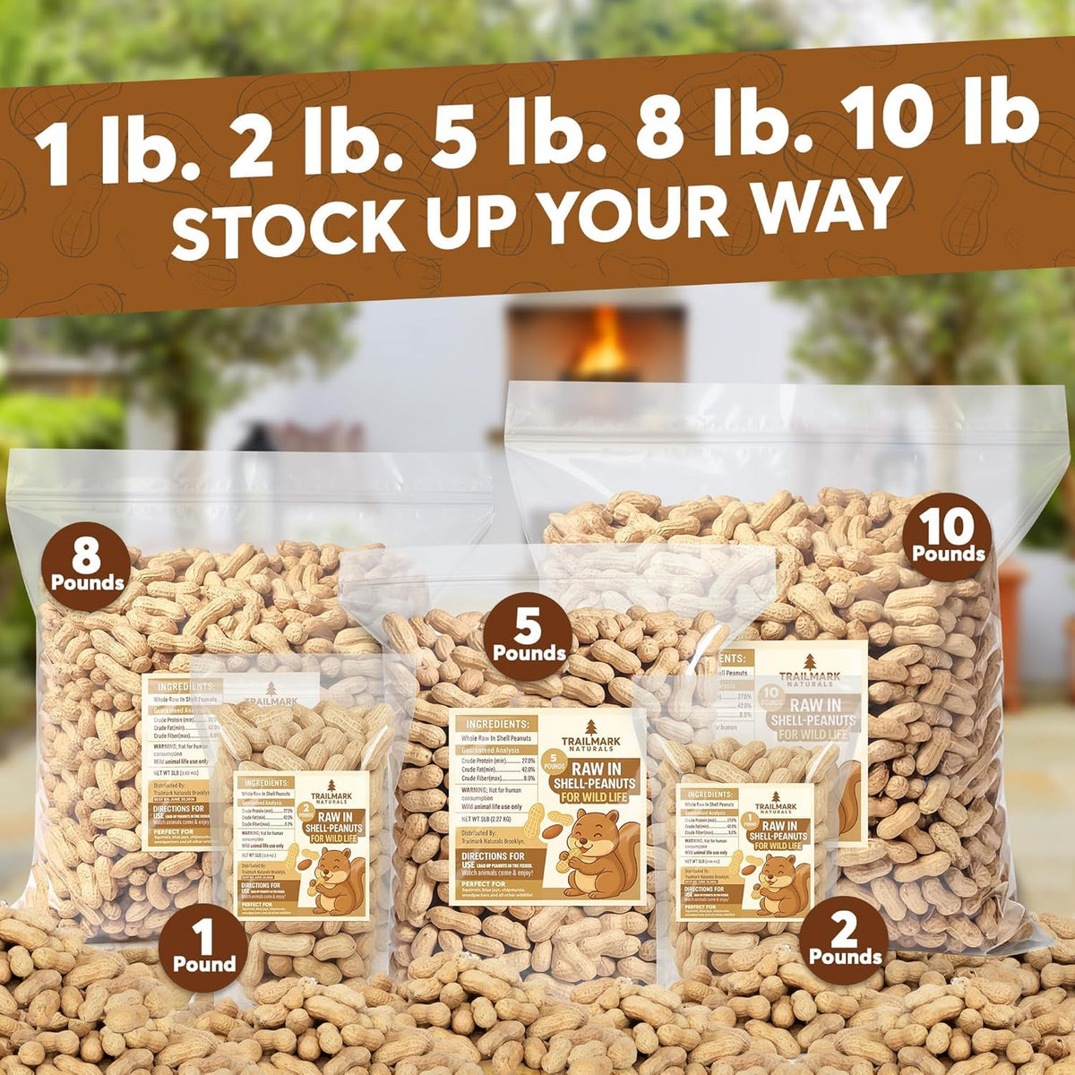 Raw Peanuts for Squirrels and Birds, 12 Pounds S243