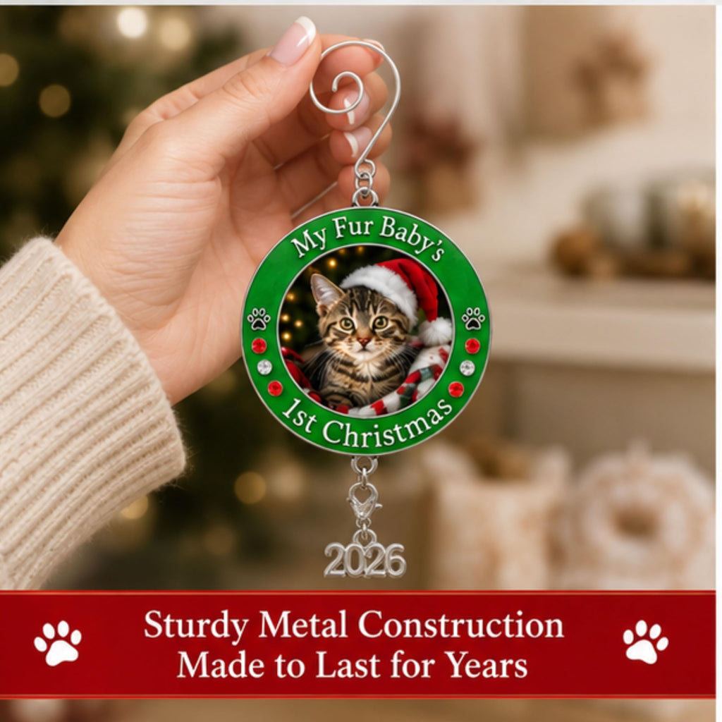 Dog Christmas Photo Ornament 3-Pack 3 Inch Z594860