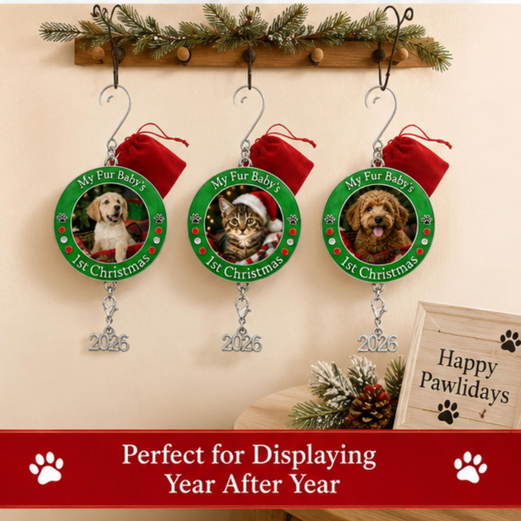 Dog Christmas Photo Ornament 3-Pack 3 Inch Z594860