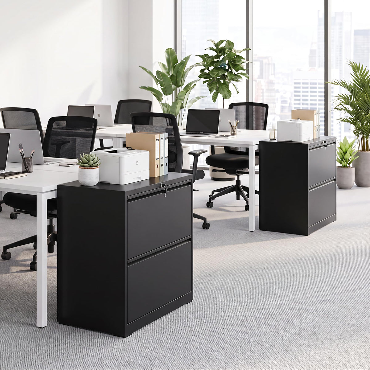2 Drawer Metal File Cabinet with Lock Q20499