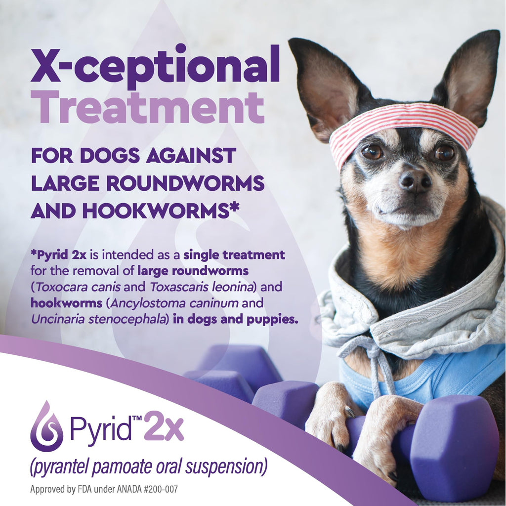 Pyrantel Pamoate Dog Dewormer 16 oz S6831