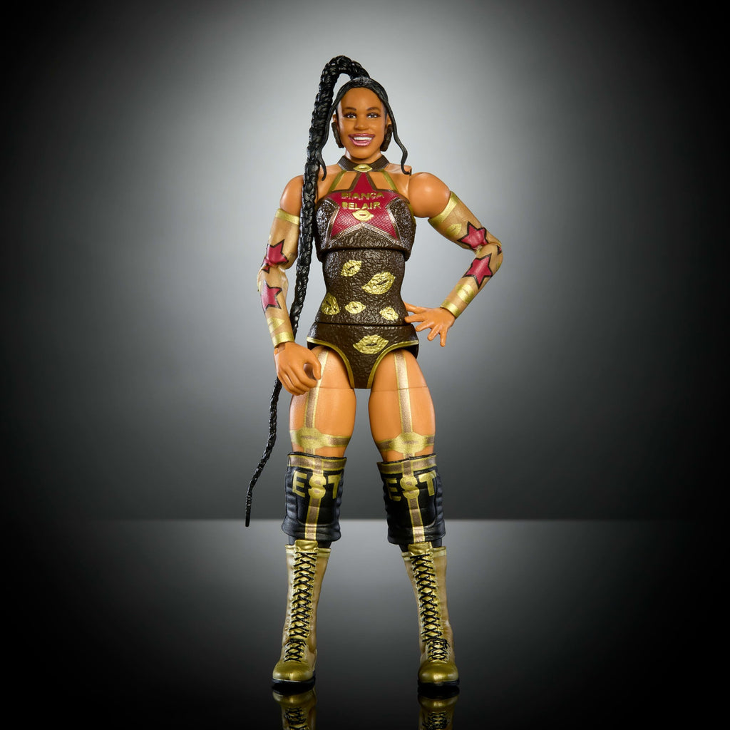 WWE Elite Collection Action Figure & Accessories Set Y646