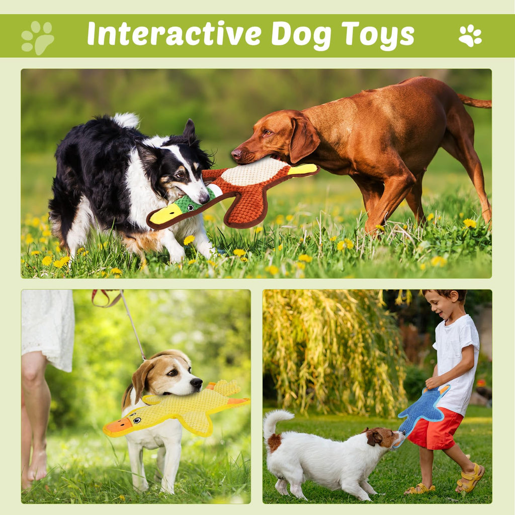 3-Pack No-Stuffing Squeaky Crinkle Dog Chew Toy M1528