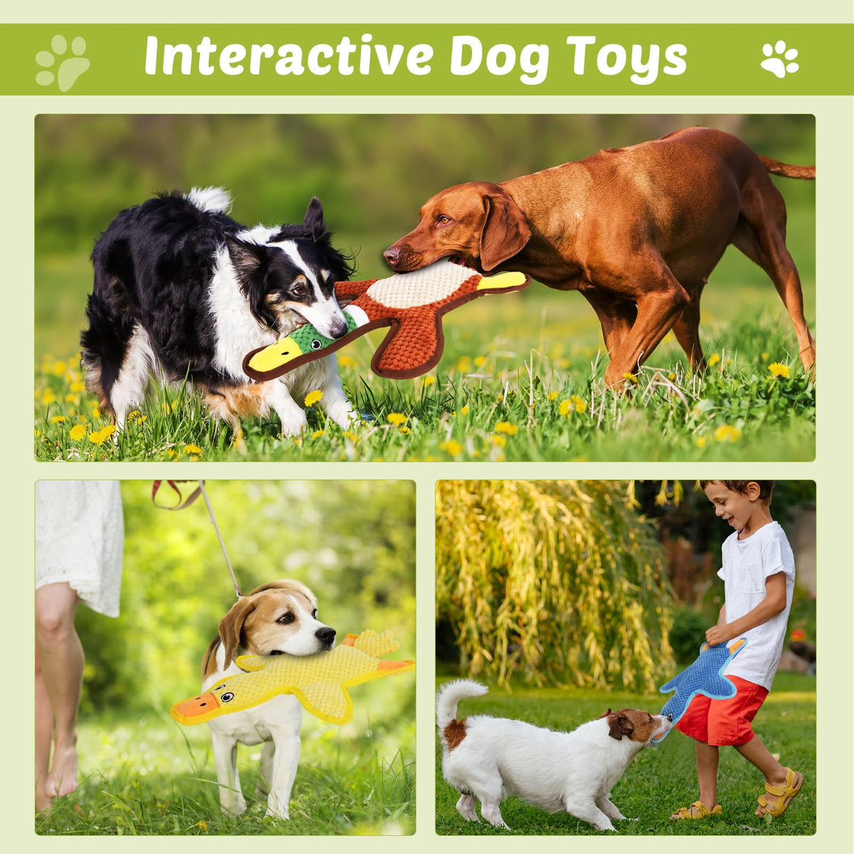 3-Pack No-Stuffing Squeaky Crinkle Dog Chew Toy M1528