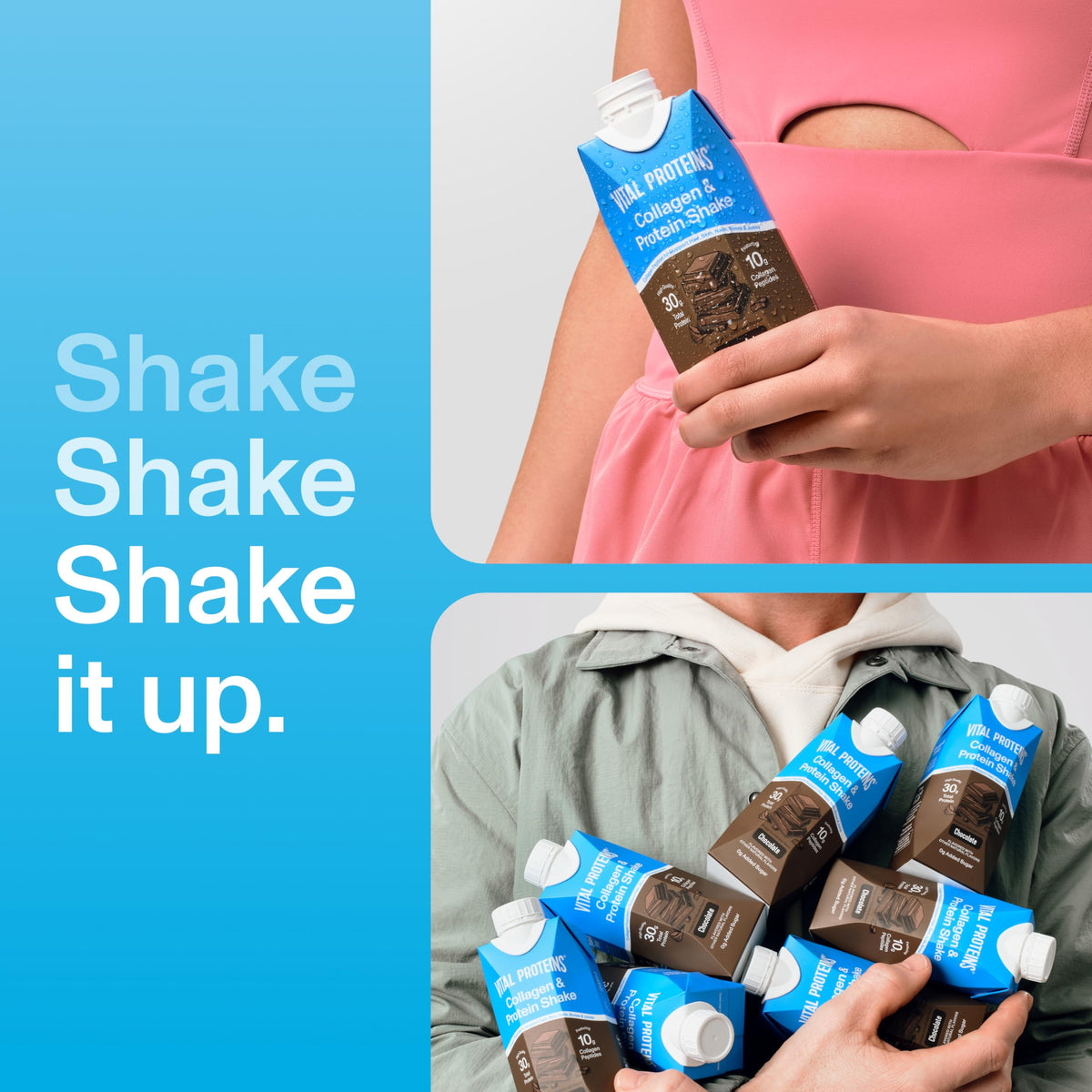 Chocolate Collagen & Protein Shake 12 Count B30301