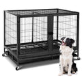 48inch Metal Wire Dog Crate with Divider G34949
