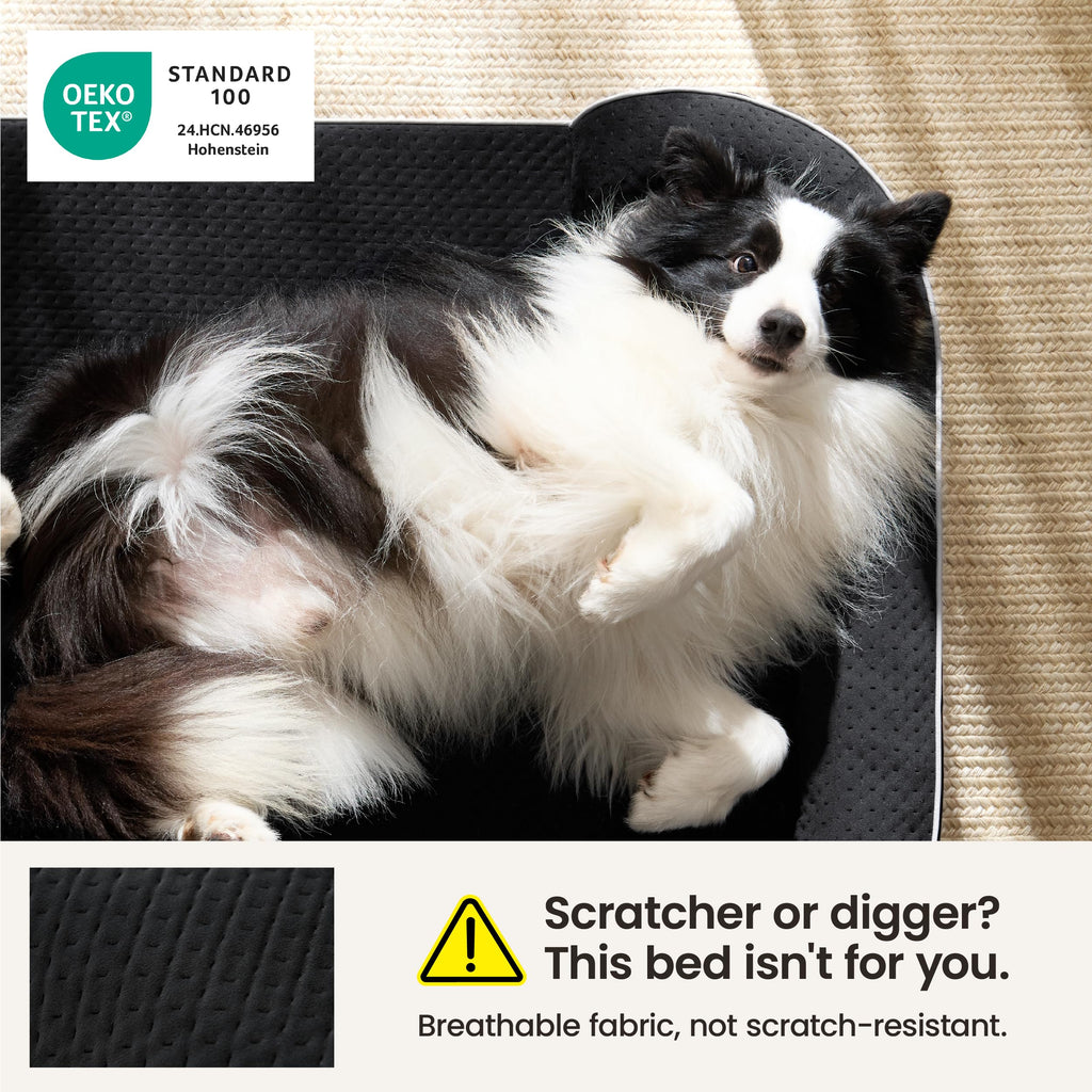 Black 42" Orthopedic Dog Beds M6587